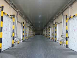 freezer Compartment